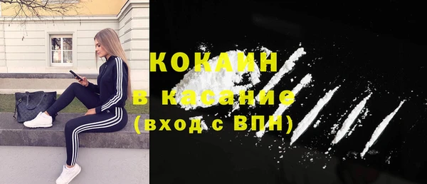 твердый Мегион