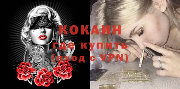 спайс Губаха