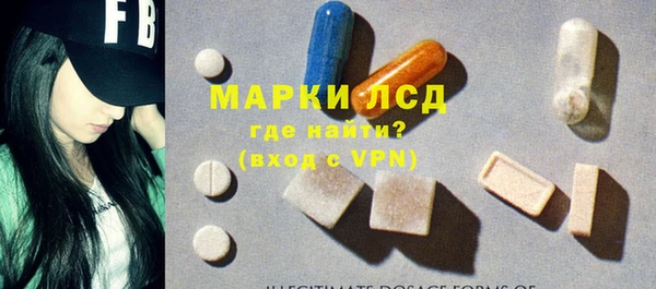 спайс Губаха