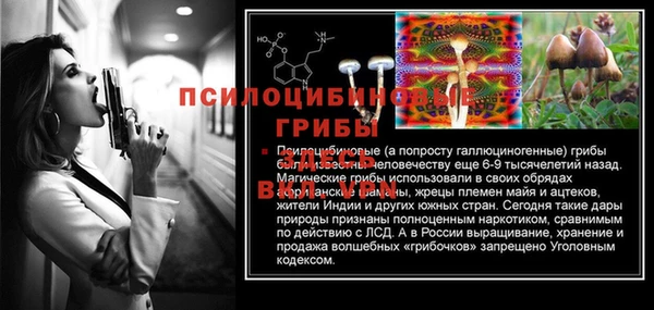 экстази Медвежьегорск
